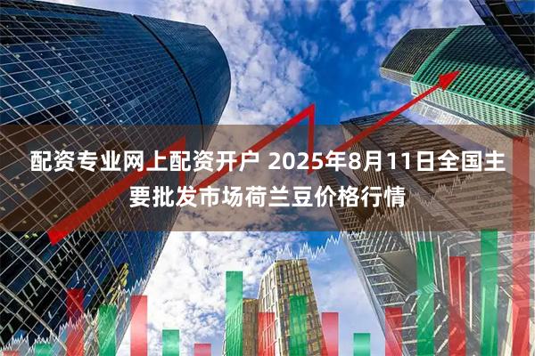 配资专业网上配资开户 2025年8月11日全国主要批发市场荷兰豆价格行情
