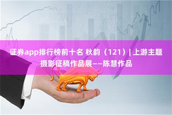 证券app排行榜前十名 秋韵（121）| 上游主题摄影征稿作品展——陈慧作品