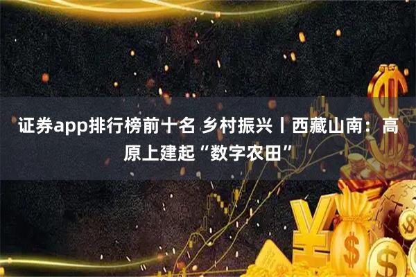 证券app排行榜前十名 乡村振兴丨西藏山南：高原上建起“数字农田”