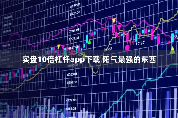 实盘10倍杠杆app下载 阳气最强的东西