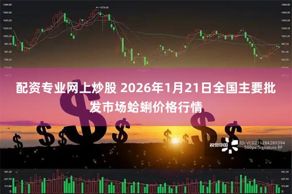 配资专业网上炒股 2026年1月21日全国主要批发市场蛤蜊价格行情
