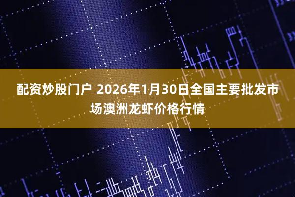 配资炒股门户 2026年1月30日全国主要批发市场澳洲龙虾价格行情