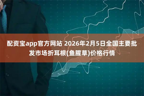 配资宝app官方网站 2026年2月5日全国主要批发市场折耳根(鱼腥草)价格行情